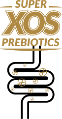 prebiotik