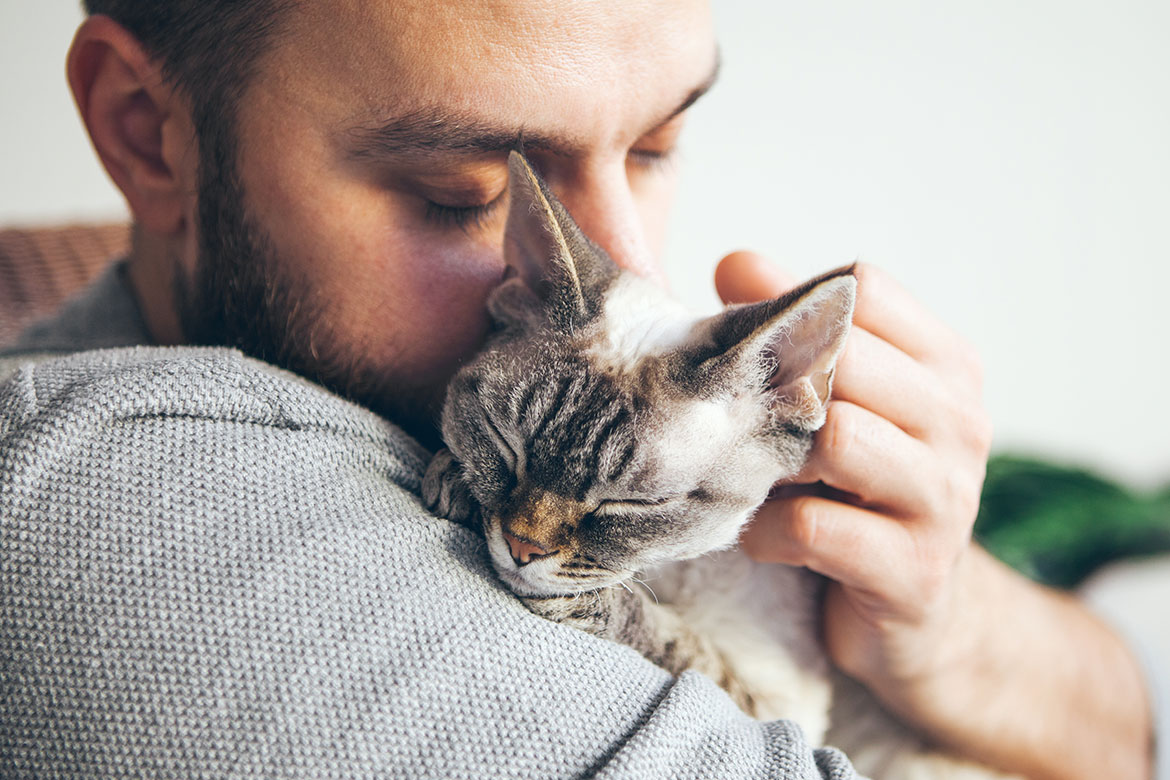 Kedi dostlarımız neden en iyi arkadaşlarımızdır?