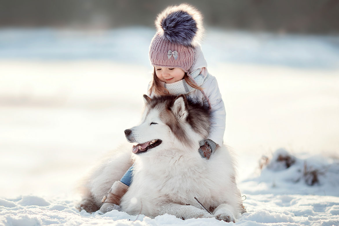 15 winter care tips for your best friend!