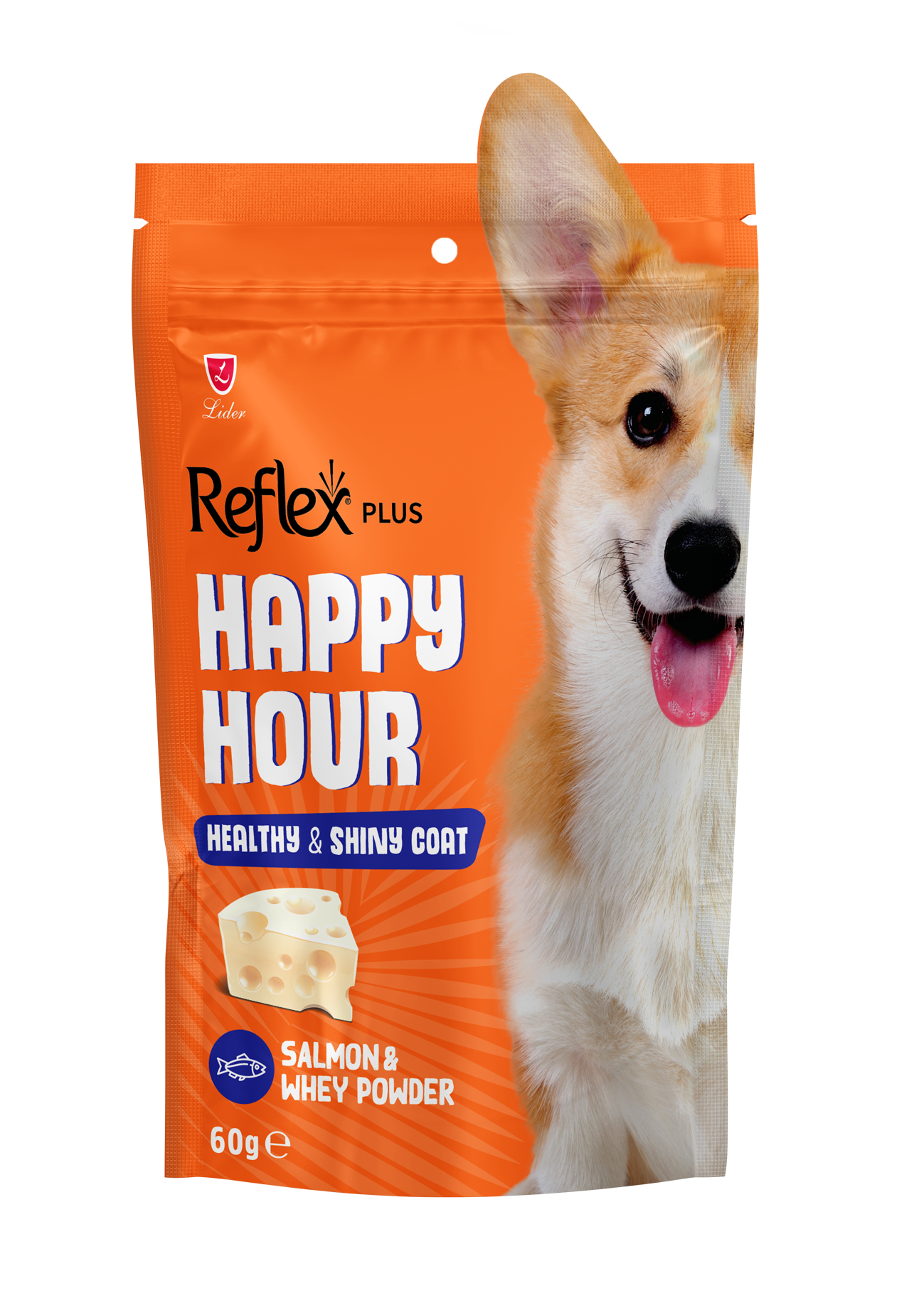 Best dog food for healthy shiny coat shop